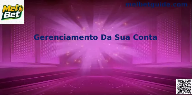 Interface de gerenciamento de conta no Mel Bet Brasil