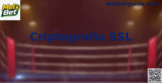 Interface de segurança digital e criptografia SSL em dispositivos móveis e computadores