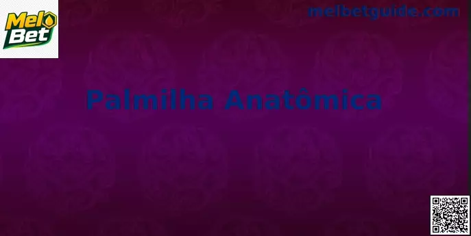 Palmilha Anatômica