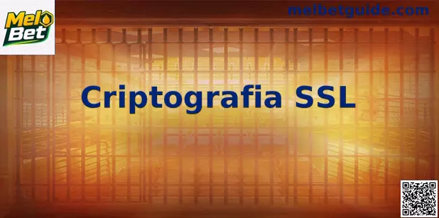 Infográfico explicativo sobre criptografia SSL e proteção de dados em servidores web